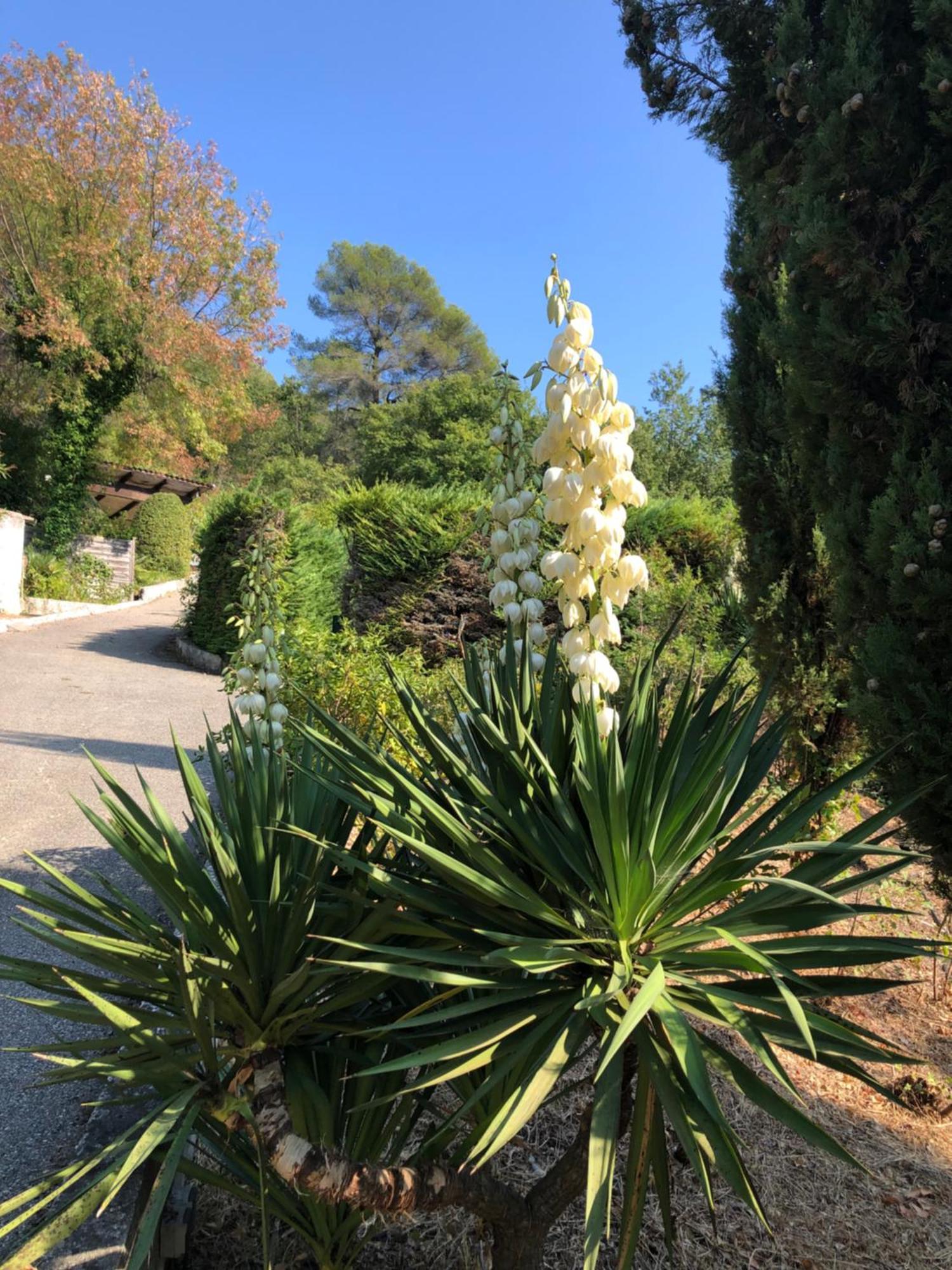 Vila Domaine Double D Cagnes-sur-Mer Exteriér fotografie